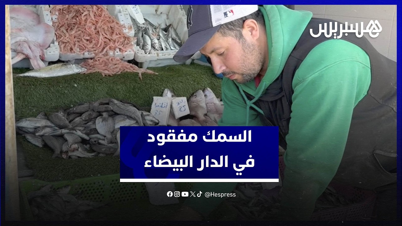السمك مفقود في الدار البيضاء.. والأسعار تحلق في السماء thumbnail