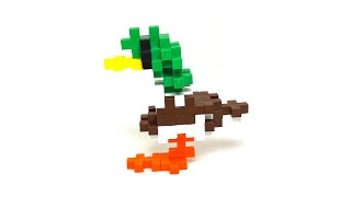 Mallard