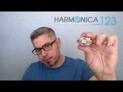 Sonny Boy Williamson II "Help Me" groove | Bb harp