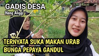Download lagu Neng Anggi suka membuat urab dari kembang pepaya gandul || gadis desa cantik keliling kampung mp3