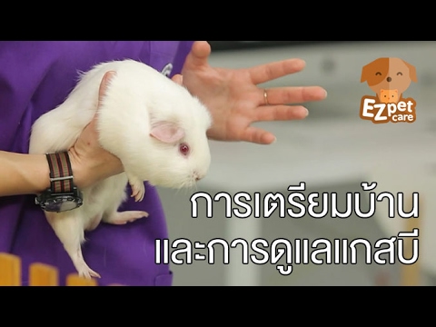 ไฮโดรเจนเปอร์ออกไซด์ใจจากโรคสะเก็ดเงิน Pugacheva ในโรคสะเก็ดเงิน