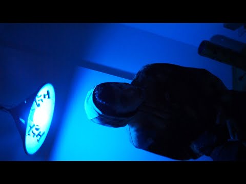 Jovem Basti | Barulho