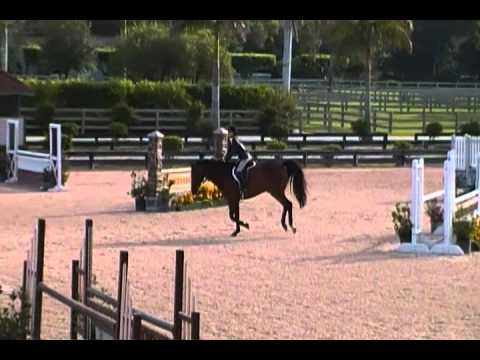 "Macassar" & Olivia-Maclay