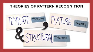 Cognitive Neuroscience - Pattern Recognition