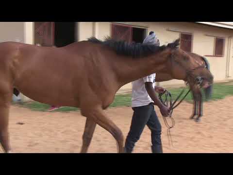 GEOFF WOODRUFF BANNER HILL PAGODA