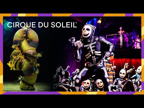 Motion, Rhythm & Soul | Cirque du Soleil