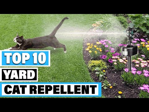 Best Cat Repellent For Yard In 2021 - Top 10 Cat Repellent For Yards Review