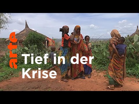 Äthiopien: Grüner Hunger | ARTE Reportage