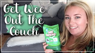 GET URINE SMELLS OUT OF FABRIC - WEE ON COUCH - PET ODOR AND TOILET TRAINING - LOTTE ROACH