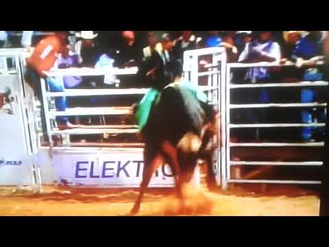 LUCIANO FÉLIX X TOURO PRÍNCIPE LIMEIRA 2006