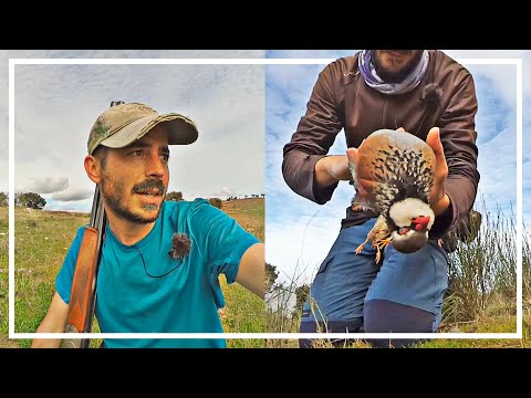 🔥¡𝗖𝗔𝗦𝗜 𝗡𝗔!🔥 Caza de perdices, liebres y codornices ✨