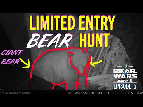 Utah Limited Entry Spring Black Bear Hunt