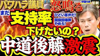【国会激論】パワハラ議員が国民民主も叱責！内容規制vs方法規制の論点を徹底解説