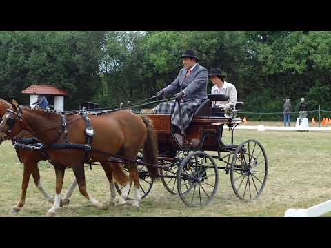 Fahrturnier Alfhausen 25.5.2019