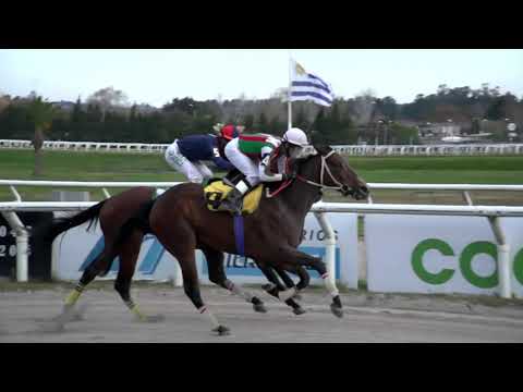 210813 c08 - BELLA PERLA - HIPODROMO LAS PIEDRAS