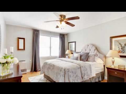 Mill Run Video Website