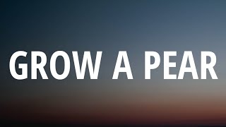 Kesha - Grow A Pear (Lyrics) &quot;But I just can&#39;t date a dude with a vag, When we fell in love&quot;