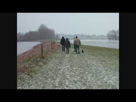 Rees am Rhein.wmv
