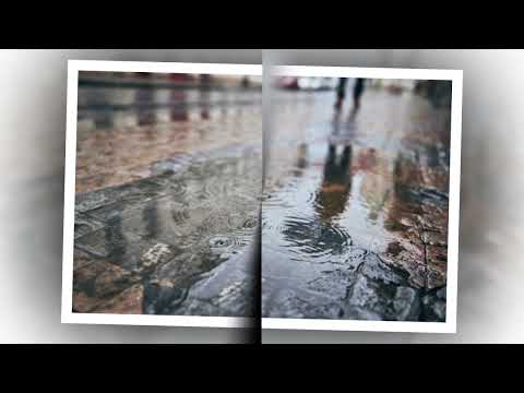 Bóng cũ chiều mưa Sheet - Thái Hiền