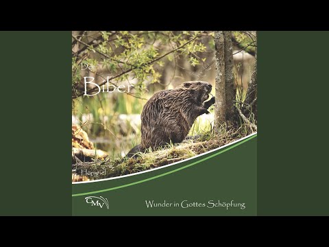 Kapitel 04 - Ein Tierhotel