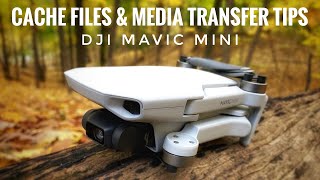 DJI Mavic Mini | Best Way To Transfer HD Videos To You Phone Or Tablet