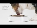 Hagen Catit – Cat Toilet Smart Sift (775.1070)
