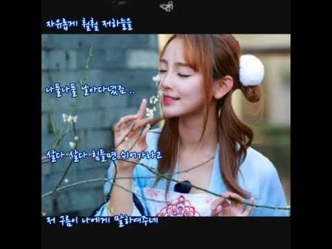 도현아  ➿  호접몽(胡蝶夢)     (가사)