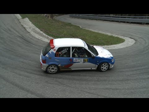 Clip Personalizzata Junod - Bosco Peugeot 106 A6 1° Ralye Des Alpes 2017