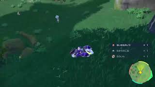 【実況】（初見）碧の仮面来た来た来た来た！！【ポケモンSV　DLC】5日目