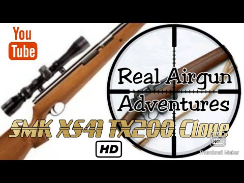 The Best Looking Chinese Air Rifle Ever? SMK XS41