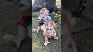 Download lagu you take Xuxu's food🙉🙉🙉 mp3