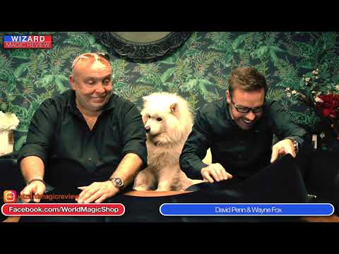 Wizard Magic Review 13th October 2021