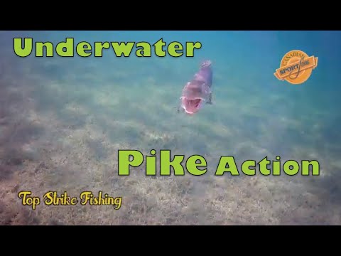 Top Strike Fishing Spinner Pike Underwater Action