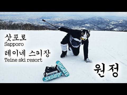 삿포로 테이네 스키장 원정 #sapporo #teineskiresort #skiate #왕고양이