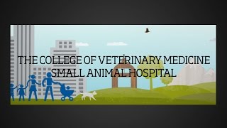 The College of Veterinary Medicine Small Animal Hospital