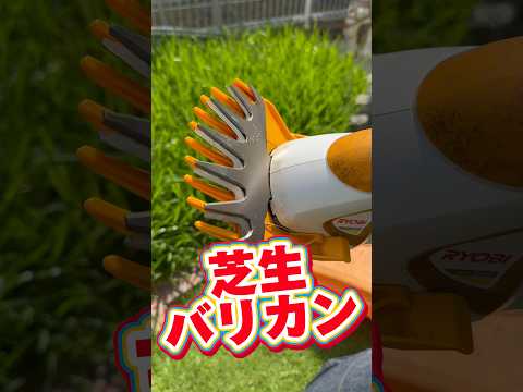 どうしたら綺麗な芝生になるのでしょうか？これらの実践的なヒントとアドバイスのおかげで、夢の芝生が手に入るでしょう。  庭園