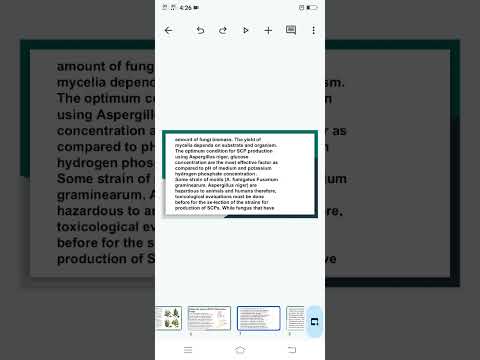 food SCP (algae, fungi/mashroom, yeast ) production, advantages, disadvantages, applications