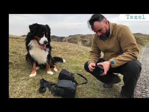 Texel 2018 - Dünen, Meer und Hundestrand