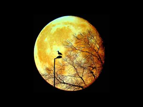‪Yellow Moon -  Akeboshi ‬‏