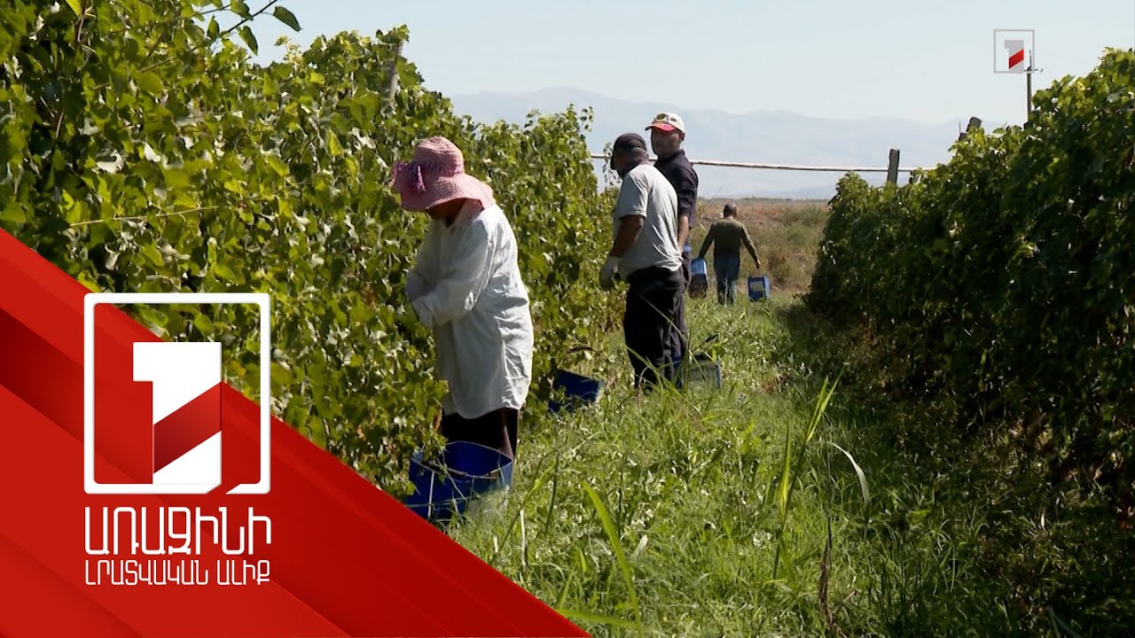 Տեղական բյուջեները մեծացել են. սեփական եկամուտները ակտիվորեն հավաքվում են