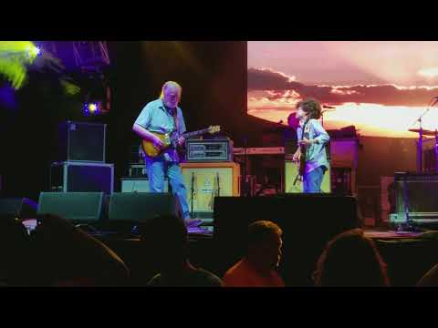 Brandon "Taz" Niederauer with Widespread Panic