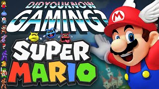 Mario Power-Ups & Dr. Mario - Did You Know Gaming? Feat. Jimmy Whetzel