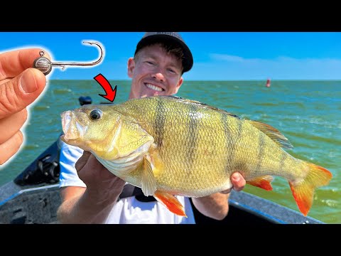 WE VANGEN AAN EEN LEGE HAAK MEGA BAARZEN?!😳(BIZAR)