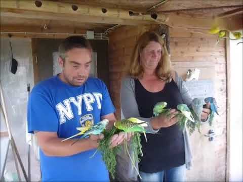 2017 08 18 Anja und Niels aus Loxstedt