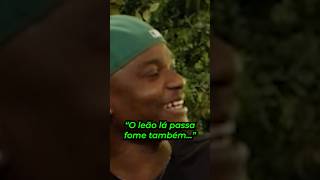 Os LEÕES da NIGÉRIA...