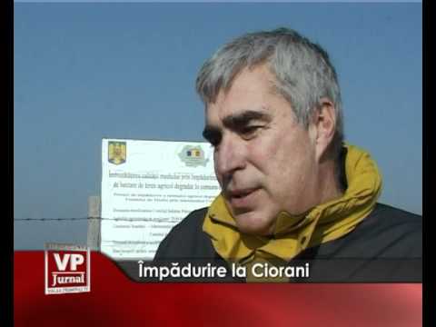 Împădurire la Ciorani