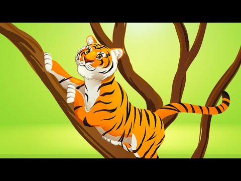 Hayvan Sesleri 5. Bölüm🐅🦘🐊🐦Kaplan - Kanguru - Timsah - Bülbül