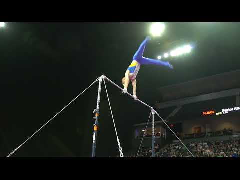 Petro Pakhniuk (UKR) - High Bar - 2018 American Cup