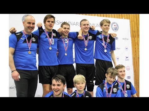 Steypafinala í flogbólti 2017 - Dreingir 16: Fleyr - SÍ 2-0