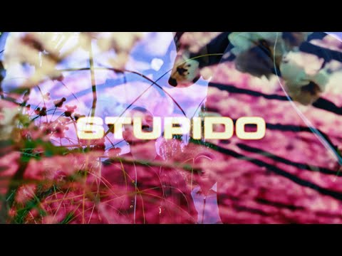 video frame placeholder